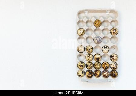 Quail eggs in cardboard packaging on white background. Top view. Stock Photo