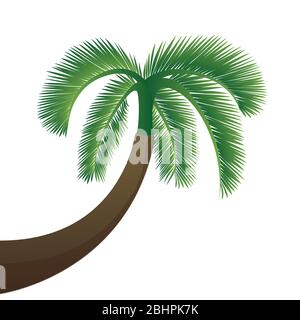 palm tree isolated on white background vector illustration EPS10 Stock Vector