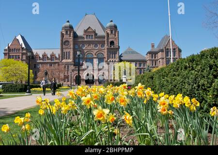 Toronto, Ontario / Canada - 05-09-2011: Legislative Assembly of Ontario - Gothic-style building, daffodil in foreground Stock Photo