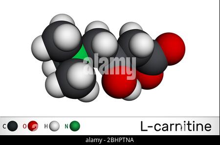 l carnitine injectable vs oral is injectable l carnitine better than oral Injectable vs Oral L-Carnitine:  Which Works Better?