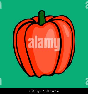 Vector hand drawn cartoon illustration of red bell pepper. Sketch of farm and garden vegetable, harvesting season. Icon isolated on green background Stock Vector