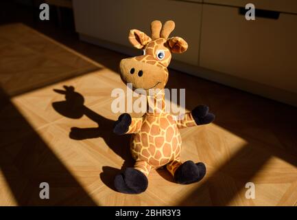Cute standing giraffe stuffed plush in a child's room illuminated by sunlight coming from the window and casting a nice shadow over the floor. Stock Photo