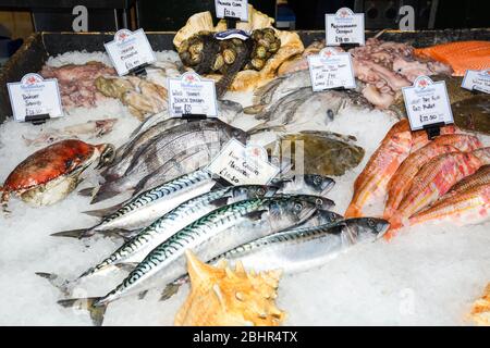 Fresh seafood on ice at the market Stock Photo
