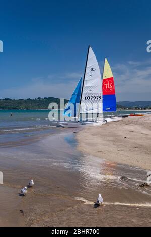 Sailboats at Buffalo Beach over Mercury Bay in town of Whitianga, Coromandel Peninsula, Waikato Region, North Island, New Zealand Stock Photo