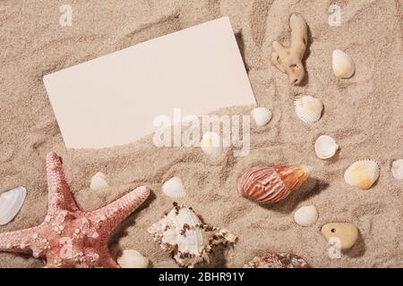 Empty white card with starfish is lying on a sea sand. Summer sunny background. Place for text. Stock Photo