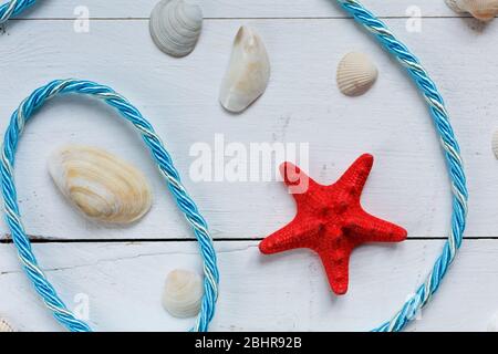 Summer background red starfish and seashells on blue wooden background. Summer vacation background. Stock Photo