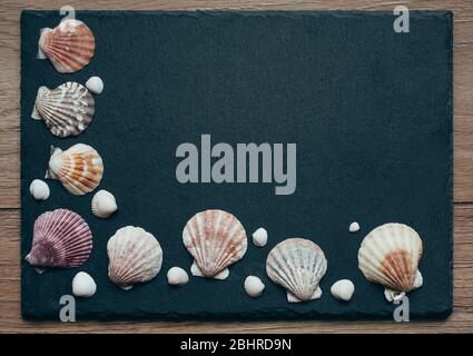 Frame on a stone board with seashells with place for text. Stock Photo
