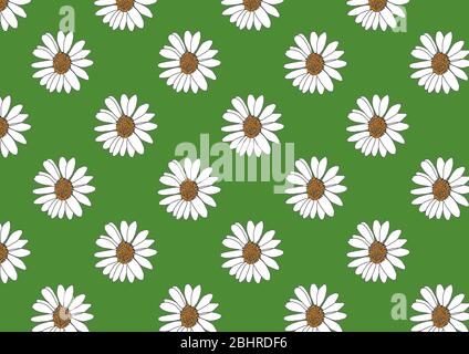 Pattern with white daisies on green background. Hand drawn floral pattern. Perfect for textile, web pages, wallpaper. Stock Photo