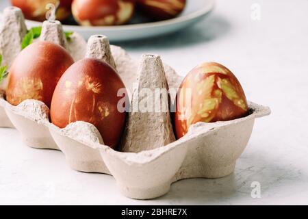 Naturally dyed with onion shells and springtime  plants Easter eggs in cardboard box, springtime  plants, zero waste concept, sustainable living Stock Photo