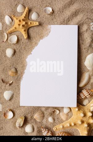 Starfishes and seashells on beach sand with wave pattern, flat lay. Space for text. Stock Photo