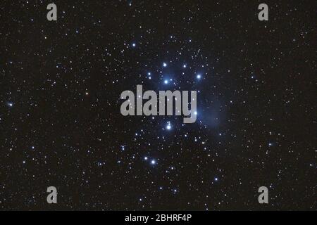 M45 - the Pleiades, Seven Sisters, Deep Sky Astrophoto, Science. the plejades M45 open star cluster in the constellation of taurus. Stock Photo