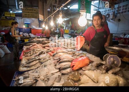 Fish shop at the Samut Sakhon market, Bangkok, Thailand. Stock Photo