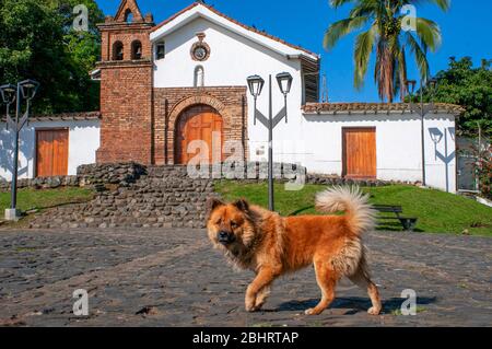 Parque San Antonio en Cali Colombia Fotografía de stock - Alamy