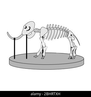 cartoon skeleton of mammoth on paleontology in museum of prehistory. white background isolated vector illustration Stock Vector