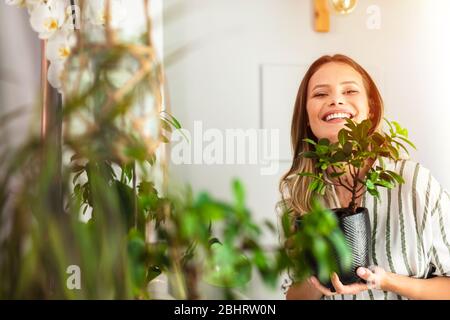 take care and love your house plants, young woman holding a bonsai in her arms with joy and love, home healthy activity Stock Photo