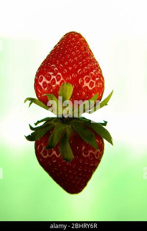 Sweet strawberries, shot on studio with two strobe lights with a green background Stock Photo