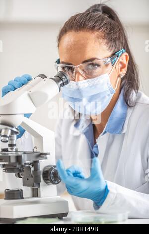 Female lab technician in protective glasses, gloves and face mask sits next to a microscope and conical flask, looking into the camera. Stock Photo