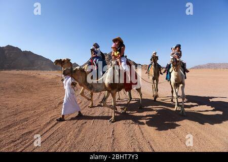 Sharm El Sheikh, Egypt - March 18, 2020: Tourists riding camels in the Egypt desert. Stock Photo