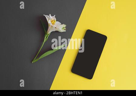 Beautiful alstroemeria flower on the grey and yellow colored background. And isolated black phone for text. Stock Photo