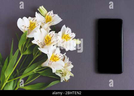 Beautiful alstroemeria flowers on the grey colored background. And isolated black phone for text. Stock Photo