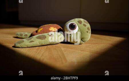Cute sea turtle plush on the floor of a child's room illuminated by sunlight coming from a window. Stock Photo