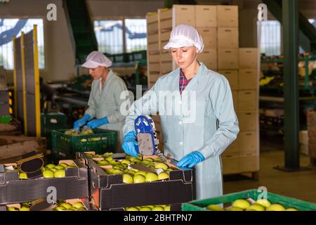 Young female workers in uniform sticking labels on fresh apples at factory Stock Photo