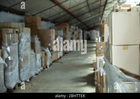 Cardboard boxes in production area Stock Photo