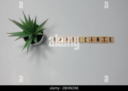 The word Appreciate written in wooden letter tiles on a white background. Stock Photo