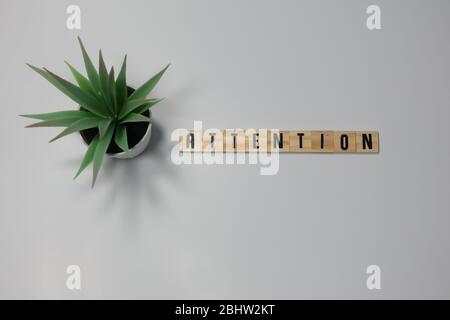 The word Attention written in wooden letter tiles on a white background. Stock Photo