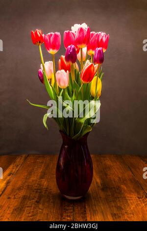 Tulips in a studio setting in a vase on a table. Stock Photo