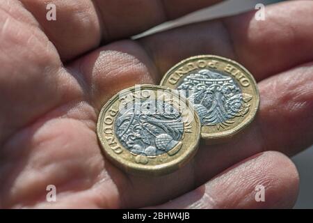 A male hand holding two UK (New) Pound coins showing the reverse (tails) side shot close up Stock Photo