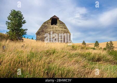 Old Weathered Yellow Barn in Golden Hills, Palouse, Washington State Stock Photo