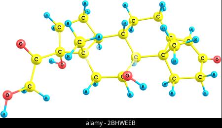 A molecular model of the hormone Hydrocortisone or Cortisol. IT is primarily released from the adrenal gland as a response to stress. Isolated on whit Stock Photo