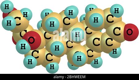 A molecular model of the hormone Hydrocortisone or Cortisol. IT is primarily released from the adrenal gland as a response to stress. Isolated on whit Stock Photo