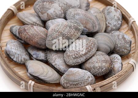 Japanese asari clams in a bamboo basket on white background Stock Photo