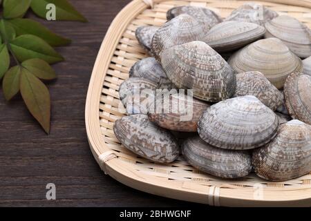 Japanese asari clams in a bamboo basket on wooden table Stock Photo