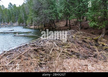 Cordova Falls Conservation Area Belmont Methuen Havelock Ontario Canada in summer Stock Photo