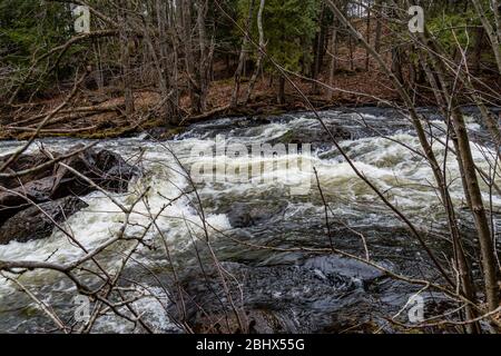 Cordova Falls Conservation Area Belmont Methuen Havelock Ontario Canada in summer Stock Photo