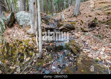 Cordova Falls Conservation Area Belmont Methuen Havelock Ontario Canada in summer Stock Photo