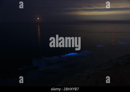 La Jolla, CA. April 26, 2020. With the moon above, nighttime ocean waves glow with bioluminescence during a red tide event. Stock Photo