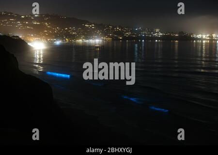 Ocean waves at Blacks Beach glow with bioluminescence at night during a red tide event in La Jolla, California. Stock Photo