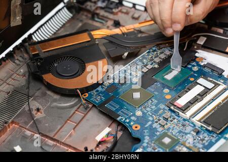 the master applies protective thermal grease to the notebook processor. Thermal Paste Replacement Stock Photo