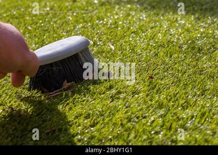 Man brushing rubbish on artifiicial grass turf with a hand brush in sunshine.  Garden chore concept Stock Photo