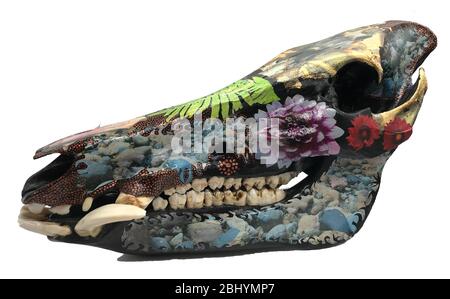 Decorated wild boar skull Stock Photo