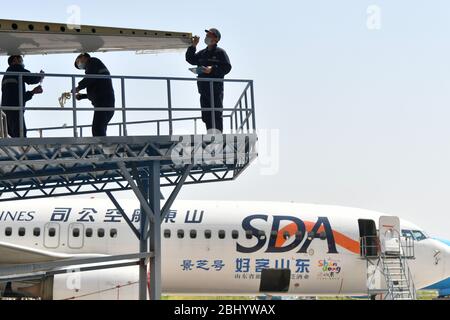 (200428) -- JINAN, April 28, 2020 (Xinhua) -- Technicians refit an airliner at Taikoo (Shandong) Aircraft Engineering Company Limited (STAECO) in Jinan, east China's Shandong Province, April 27, 2020.  The COVID-19 pandemic has led to a significant decrease in airline travel and passenger revenue. Since its production recovered on Feb. 10, STAECO has been offering Passenger-to-Freighter (PTF) solutions for airline operators which need more cargo planes to address this market change. So far, the company has accomplished three PTF conversions for its clients. (Xinhua/Zhu Zheng) Stock Photo