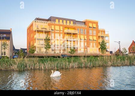 Modern apartments in cottage style in new neighbourhood 'Triangel' in Waddinxveen, Netherlands. Swan is swimming in the canal. Stock Photo