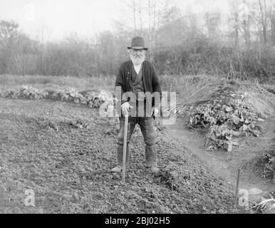 An Example to Allotment Workers - Mr Robert James , who is 97 years of age , still spends most of the day working on a plot of land adjoing his cottage at Uffculme , Devon - 9 March 1918 Stock Photo
