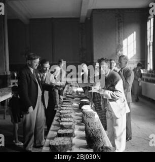 A cake competition at Crayford flower show . - 29 August 1936 Stock Photo