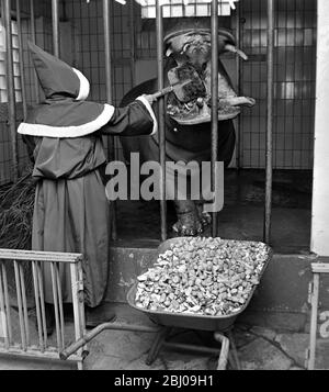 6 DECEMBER 1963 - SANTA CLAUS FEEDS A HIPPOPOTAMUS AT FRANKFURT ZOO, GERMANY. Stock Photo