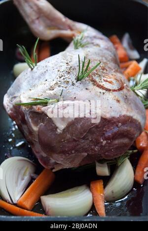 Leg of lamb ready to put in the oven with onions, rosemary, carrots, black pepper, coarse salt, olive oil and dash of red wine. - Stock Photo
